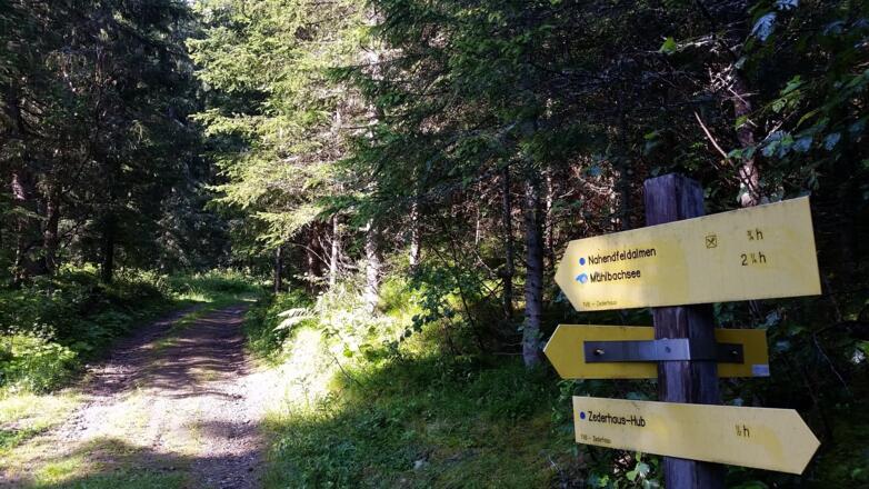 Folgen Sie den Wegmarkierungen