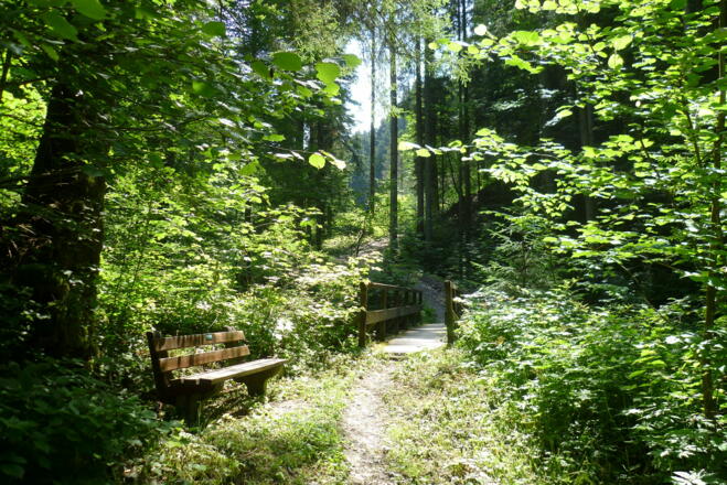 Durch den Wengergraben