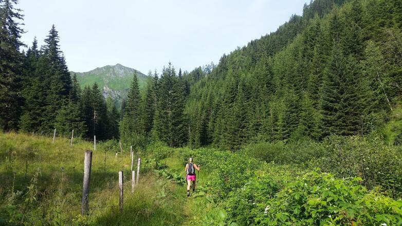 Steig Richtung Bartlalm
