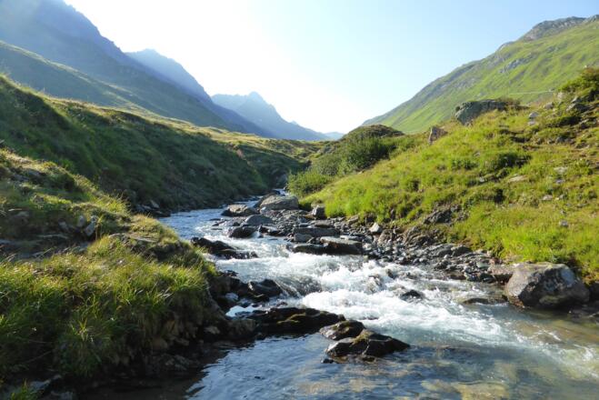Rosanna im Schönverwall