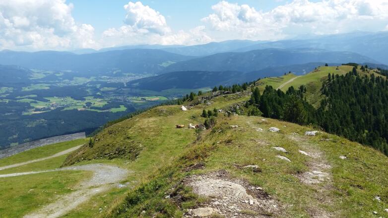 Rückweg führt über den Steig oder Straße