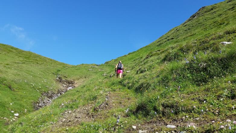 Letzer Aufstieg bis zur Scharte