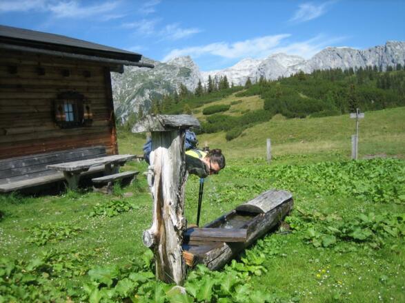 Bei der Frommer-Hochalm