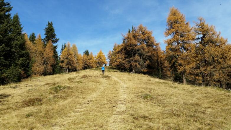 Abstieg  bzw. Aufstieg vom Gipfel