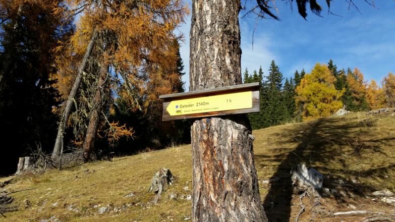 Beschilderung - gerade hoch geht es zum Gipfel
