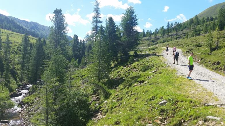 Weg führt neben den Bachbett zurück ins Tal