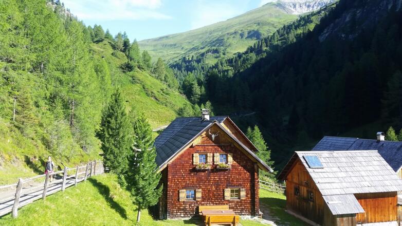 Forstweg Richtung Sticklerhütte
