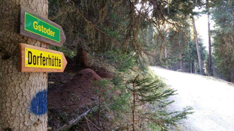 Nach dem Waldpfad geht es weiter auf dem Forstweg Richtung Dorferhütte