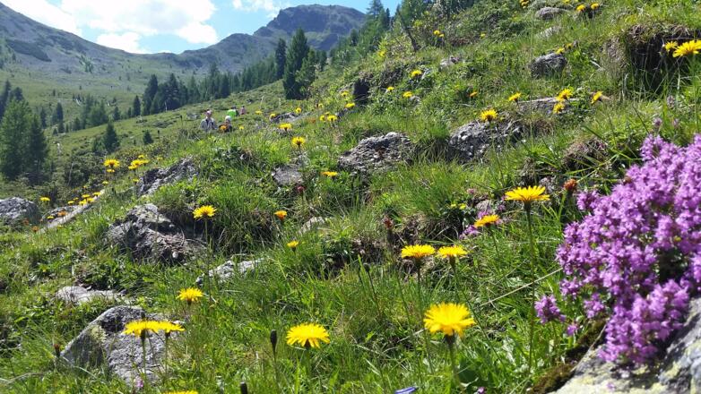 Aufstieg nach einem Steig