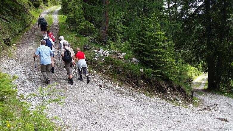 Forstweg steigt ca. 50 Minuten 