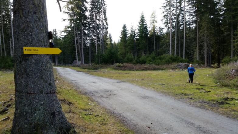 Forstweg verlassen und Richtung Ortskern