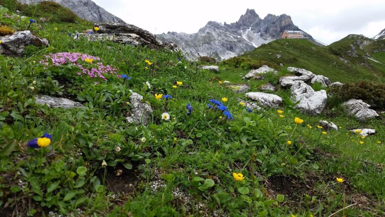 Blick auf die Franz Fischerhütte
