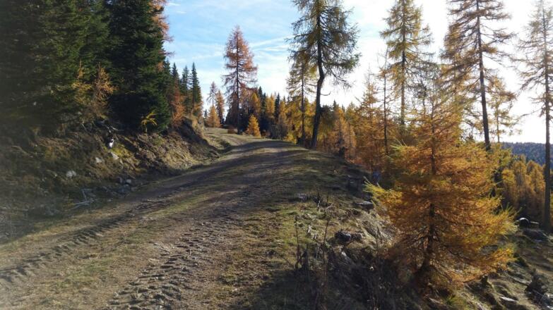 Aufstieg Richtung Gipfel nach Dorferhütte
