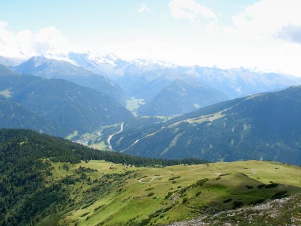 Bergkuppe mit Bergmähder am Blaser