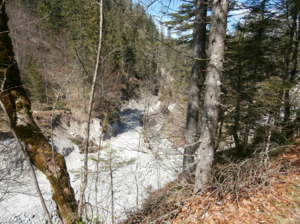 Am Weg in der Weissbachschucht