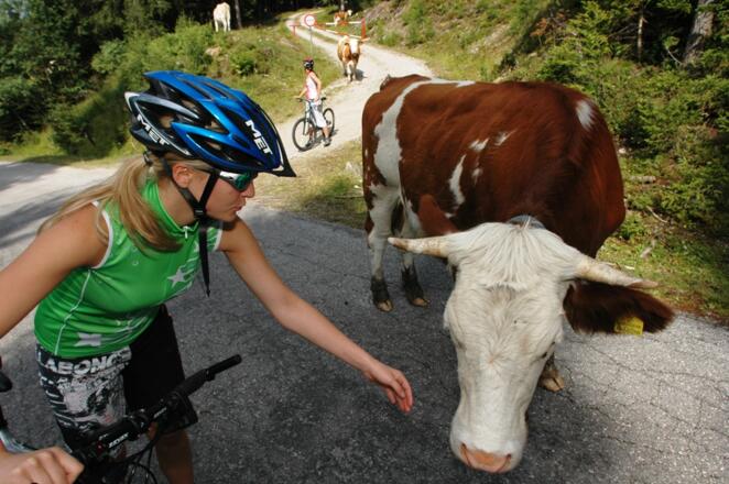 Biketour - Tauernhof Flachau