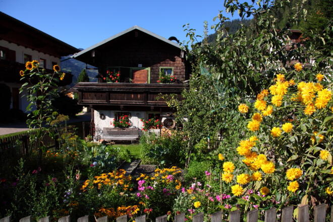 Blumenpracht in Großarl