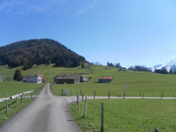 Bütscheln Richtung Hittisberg