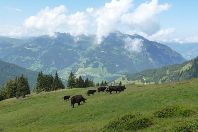 wunderschöner Ausblick