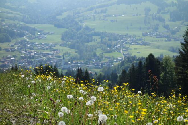 Blick auf Egg vom Kaltenbrunnen
