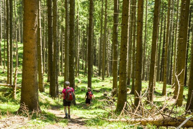 Auf dem Weg zur Feldkircher Hütte