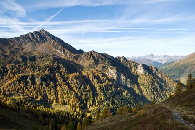 Bereits über der Waldgrenze - auf der anderen Seite kann man den Forstweg für den Abstieg erkennen