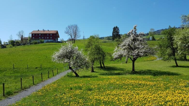 Frühling in Müselbach