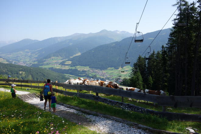 Weg oberhalb der Bergeralm Mittelstation