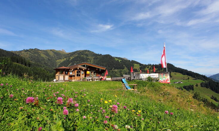 Alpentaverne - Zapfenbar