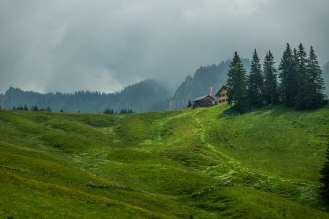 Blick auf die Wildmoosalpe