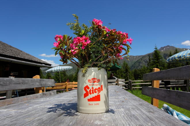 Auf der Hirschgrubenalmalm