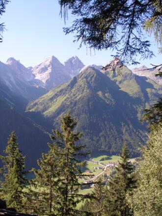Vom Wald aus sieht man hinunter nach Gschnitz