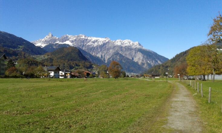 im Schrunser Feld Blick auf die Vandanser Steinwand mit Zimba