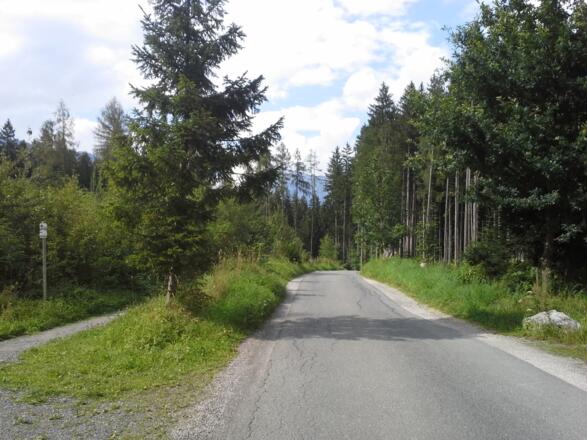 Im Kollingwald kurz vor der Abfahrt zum Ritzensee