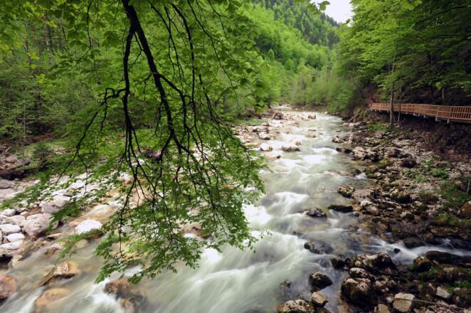 Der Buchensteig führt ins Herz des Nationalpark Kalkalpen