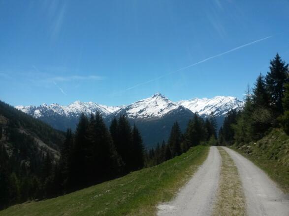 Weg von der Steineralm in Richtung Neukirchen