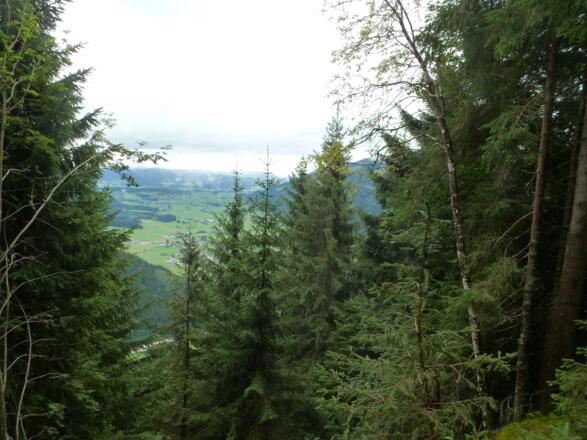 Der Wald gibt immer wieder schöne Blicke ins Saalachtal frei