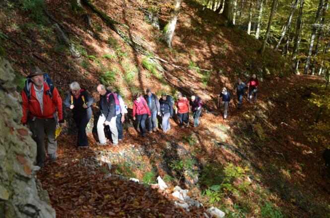 Herbstwanderung am Buchensteig
