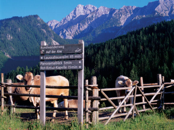 Rundwanderweg &quot;Auf der Alm&quot;