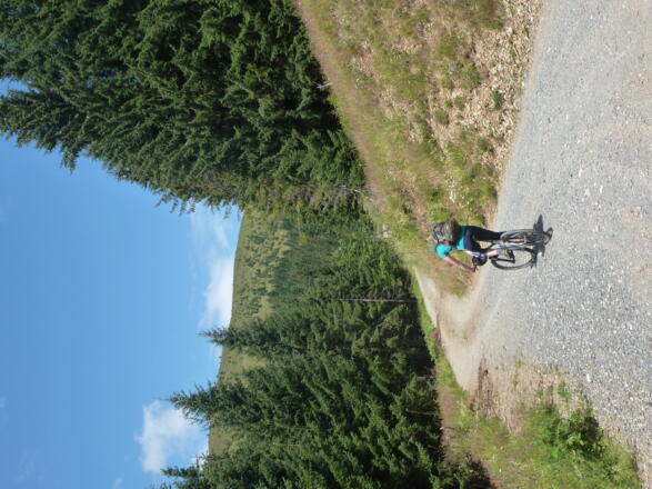 Die letzten Meter zur Jahnhütte, im Hintergrund die Gipfelflanke der Sausteige.