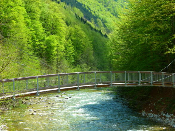 Am Seilsteg kommst du trocken über den Großen Bach