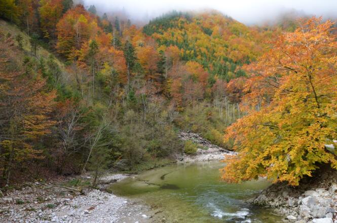 Herbstzauber am Großen Bach