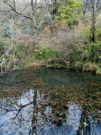 Kleiner Teich unterhalb des Hochkogels