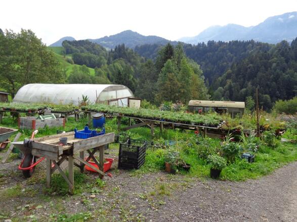 Quelltuffrunde - Garten Nenning