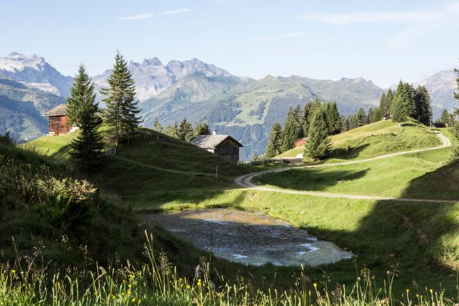 &quot;Bärger Alma&quot;