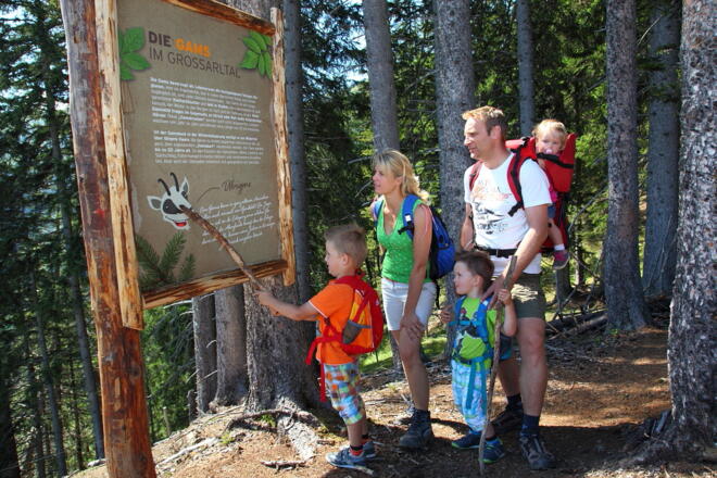 Information über die Gams und die Jadg