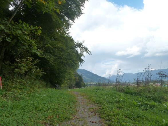 Am Waldrand entlang führt der Weg nach Bad Neunbrunnen. 
