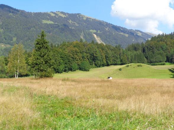 Blick auf die Niedere