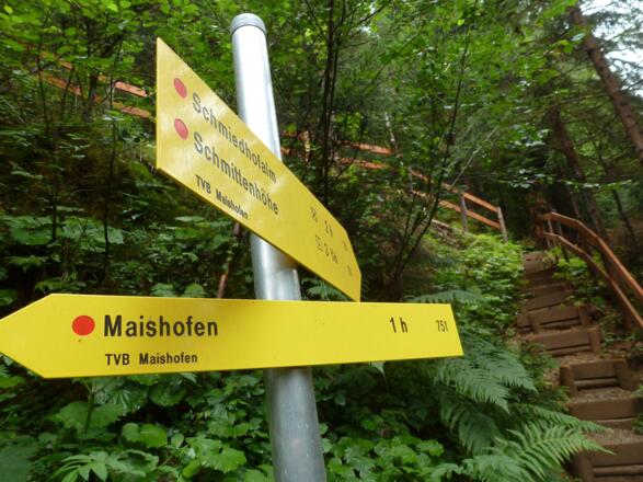 Abzweig am Forstweg - über die Stiegen geht es nun steil durch den Wald zum Atzingerberg