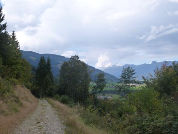 Die Forststraße geht bald wieder in einen Wanderweg über...